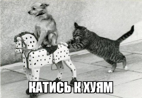 Штрафы до 6 млн и уголовная ответственность: чем теперь грозит провоз лекарств через границу