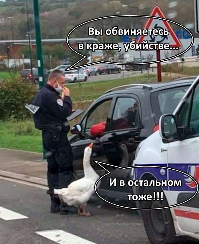 «Женщина вас интересует только как инкубатор?» Журналистка из Екатеринбурга жестко ответила Мурашко