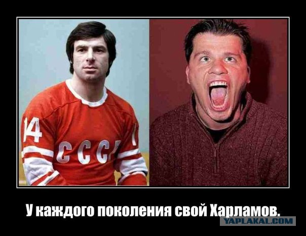Извините, но все прогнило!