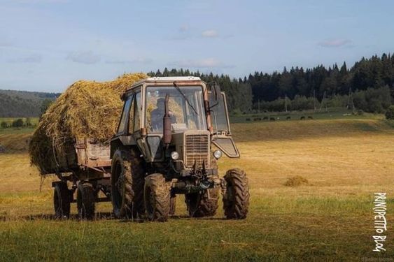 Прикольные и просто красивые картинки 15.09.2023
