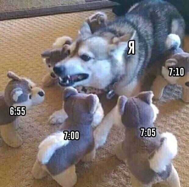 Пятничное улыбательное