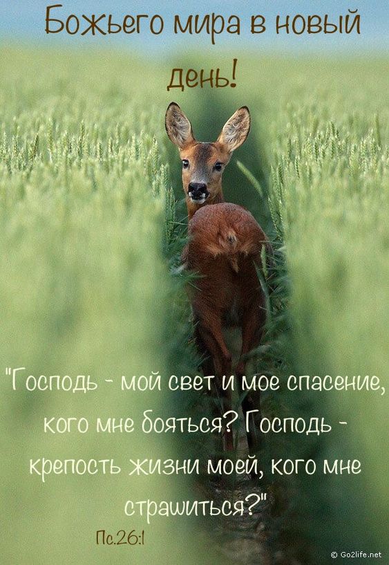 Прикольные и просто красивые картинки 16.02.2024