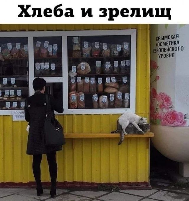 Прикольные и просто красивые картинки 15.03.2024