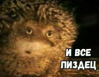 Вооруженные нелегалы из венесуэльской банды Трен де Арагуа взяли под полный контроль жилой комплекс и выселили всех жильцов