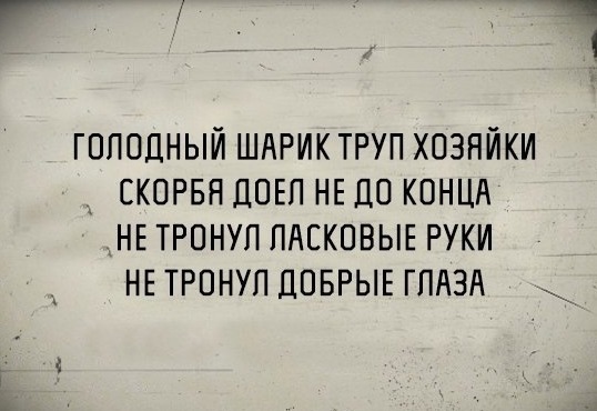 Кажется запой начинается