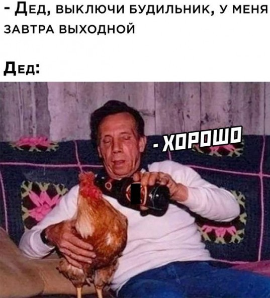 В Балашихе на Московском бульваре жители просыпаются от криков петуха, которого завёл один из соседей
