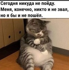 Картинков вам разных.