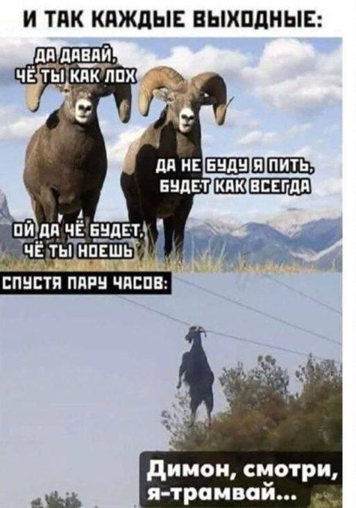 Баяны: август 2023 г - декабрь 2023 г