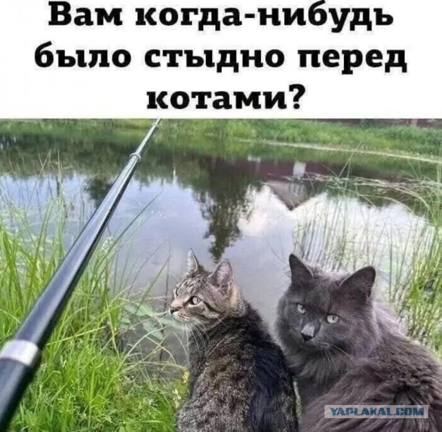Картинки не для всех