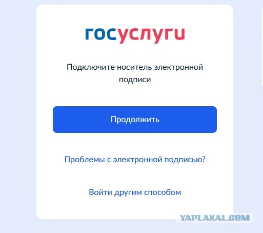 Госуслуги, окно уязвимости.