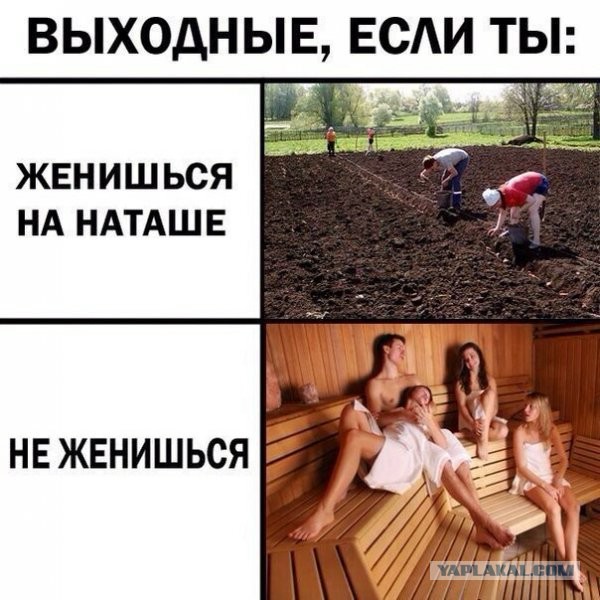 На сон грядущий