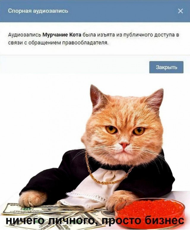 К котовторнику: подборка картинок-баянов с котиками и про котиков. Выпуск 11