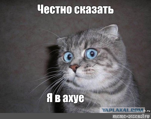 Слова дагестанского имама про спорт и науку