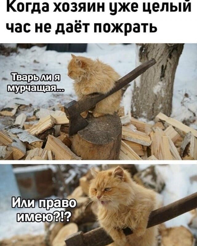 Картинки субботнего утра