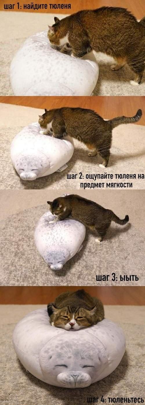Понедельник всегда внезапен