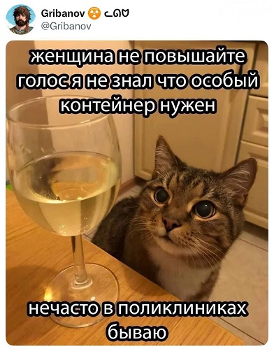 Жизнь на острове