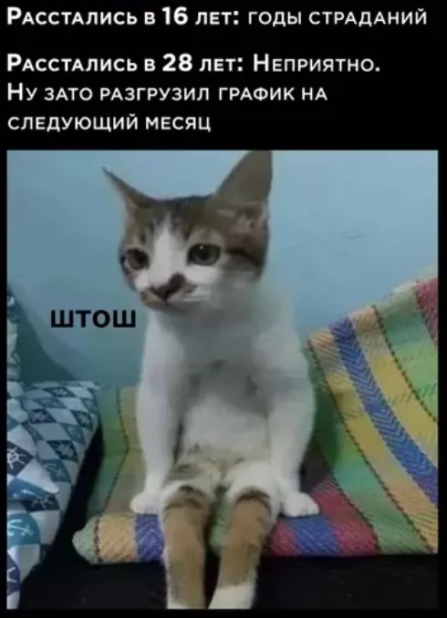 Котямбосы