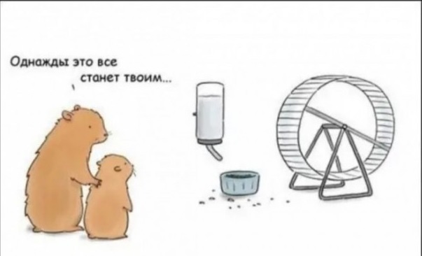 Вот так мы по жизни бежим. А зачем?
