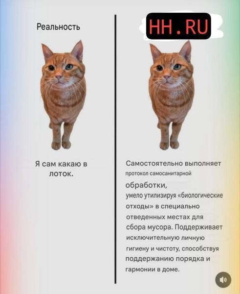 Зряплата!