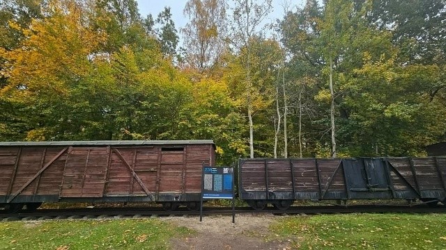 «Радуемся Красной Армии». В Польше сказали спасибо русским…