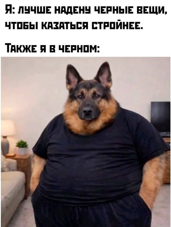 "Куда делись спортивные подтянутые мужчины? Это что вообще такое?"