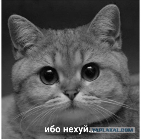 Юля, 35 нет мужа, нет парня — никому не нужна