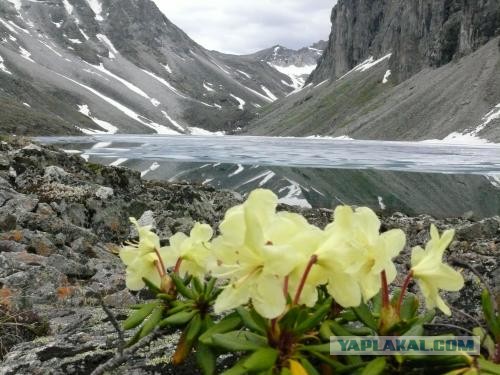 Моя Камчатка