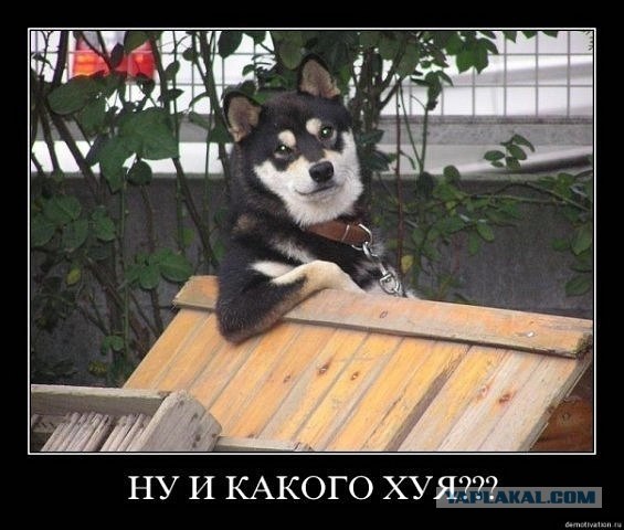 Звери - люди