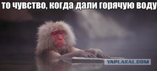 Горячая вода станет дефицитом
