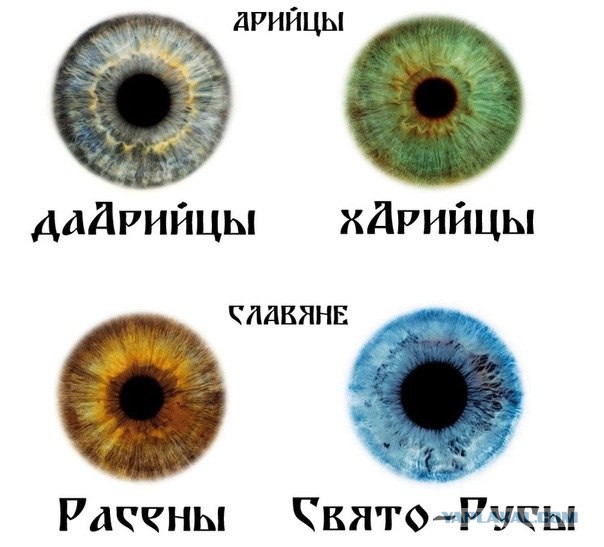 Пыхатые и пархатые