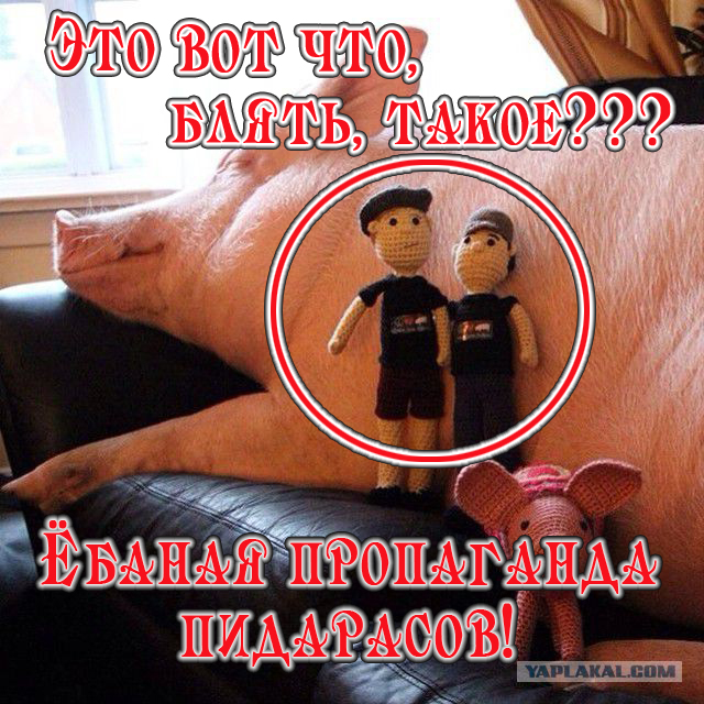 Свинья, выращенная как домашний питомец