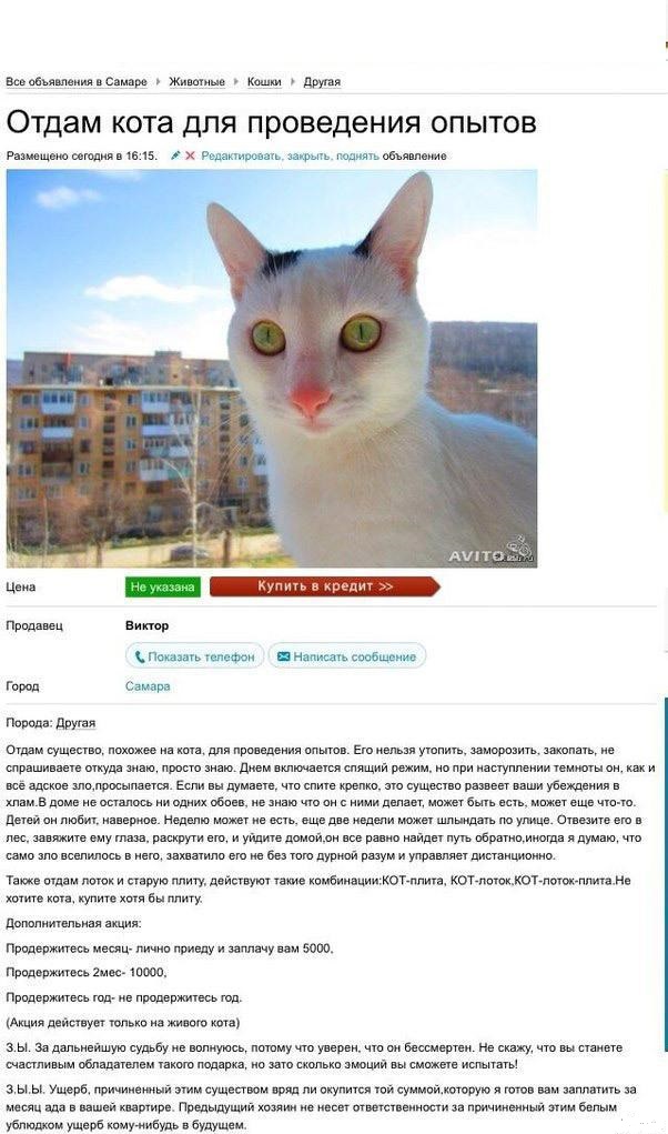 Надо позвонить!