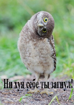 Посмотрел и бросил курить