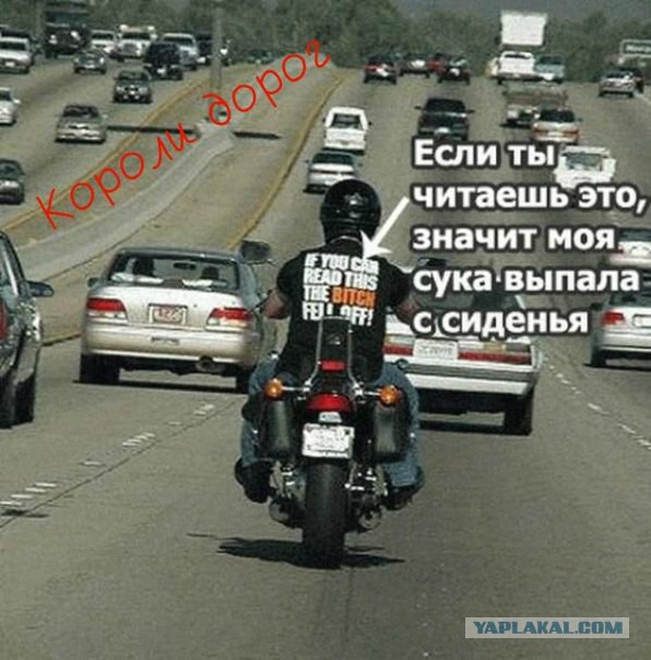 Веселые картинки