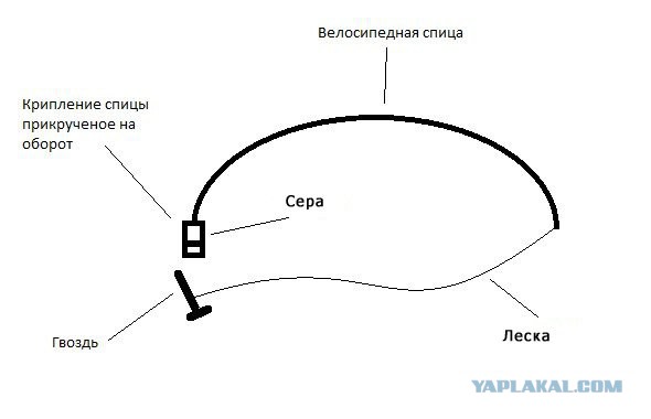 Детство без гаджетов...