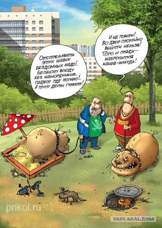 Терпение лопнуло: жители Петербурга, устроили расправу над догхантерами