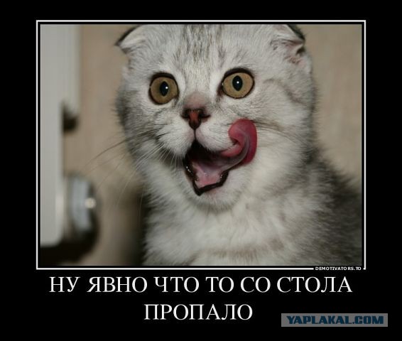 Демотиваторы вторника