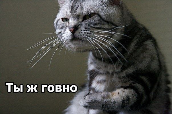 20 кадров, в которых мы невольно узнаём самих себя