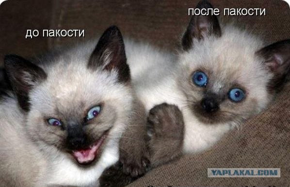 Разница до и после