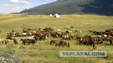 Кто как - а я за единение!