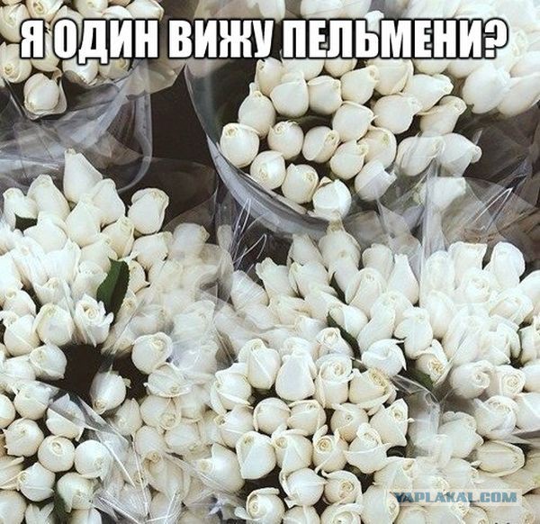 Подборка прикольных картинок