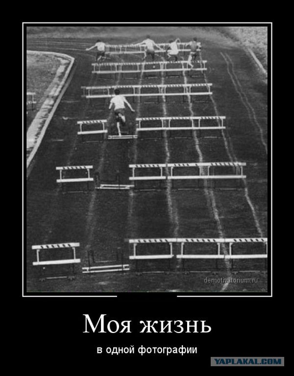Подборка демотиваторов