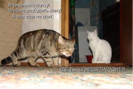 Взаимоотношения полов...