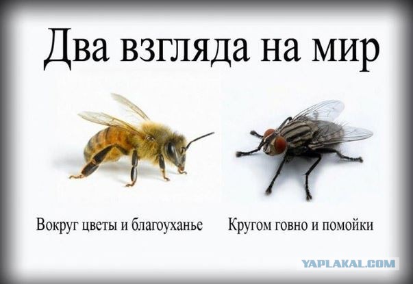 Город в России, за который мне стыдно