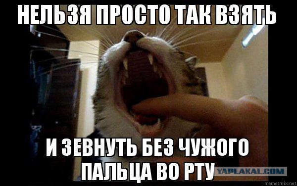 Собака с пальцем у рта мем