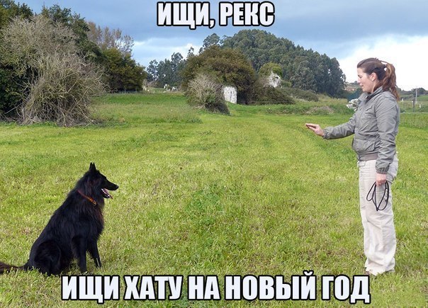 Картинки, надписи