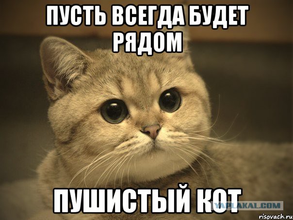 Домик для котейки