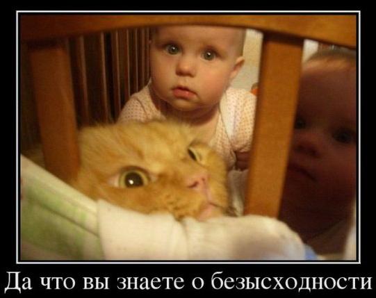 А давайте улыбнёмся