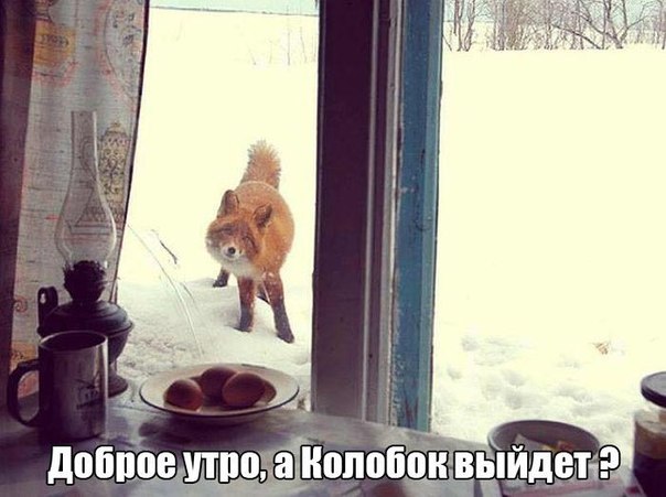 Разные картинки