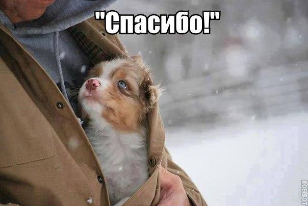А давайте улыбнёмся В Новом Году